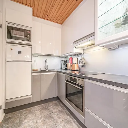 Levin Kuningaskotka C4 Visit Levi Sirkka